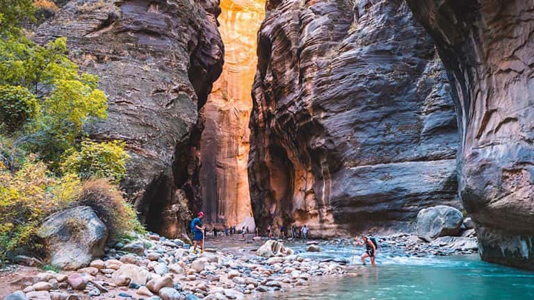 Zion National Park Waterfall